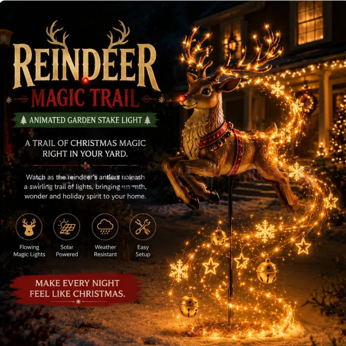 Ships in 5-7 Days Solar Christmas Garden Light